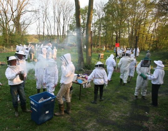Beginners Beekeeping Course 2025 Closed for Bookings