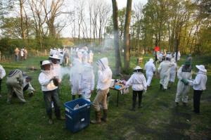 Training meeting at Henfold apiary