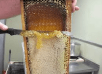 Uncapping Honey
