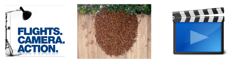 Swarms Captured on Video
